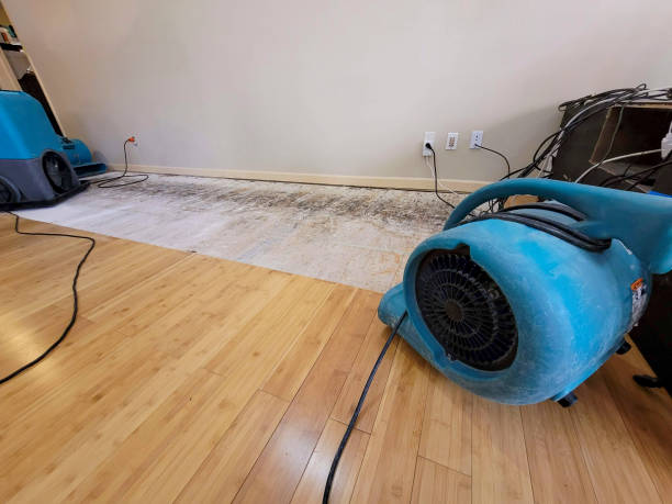 Professional Water Extraction technician working in Winthrop, IA